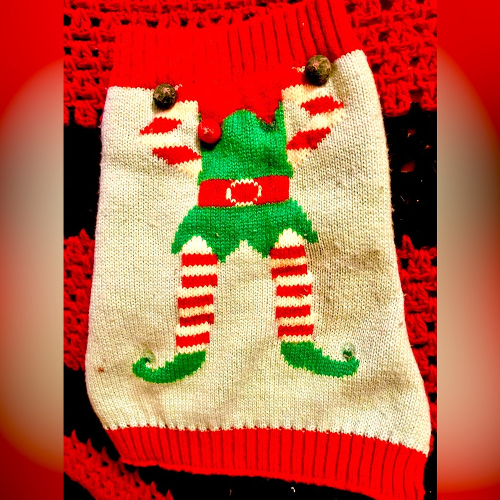 Small Holiday Elf Pet Sweater